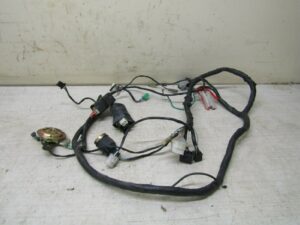 faisceau electrique KYMCO AGILITY NAKED RENOUVO 2 Temps 2011 2018