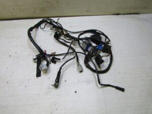 faisceau electrique beta rr 50 sm 2021 2024